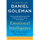 Emotional Intelligence: Why It Can Matter More Than IQ
